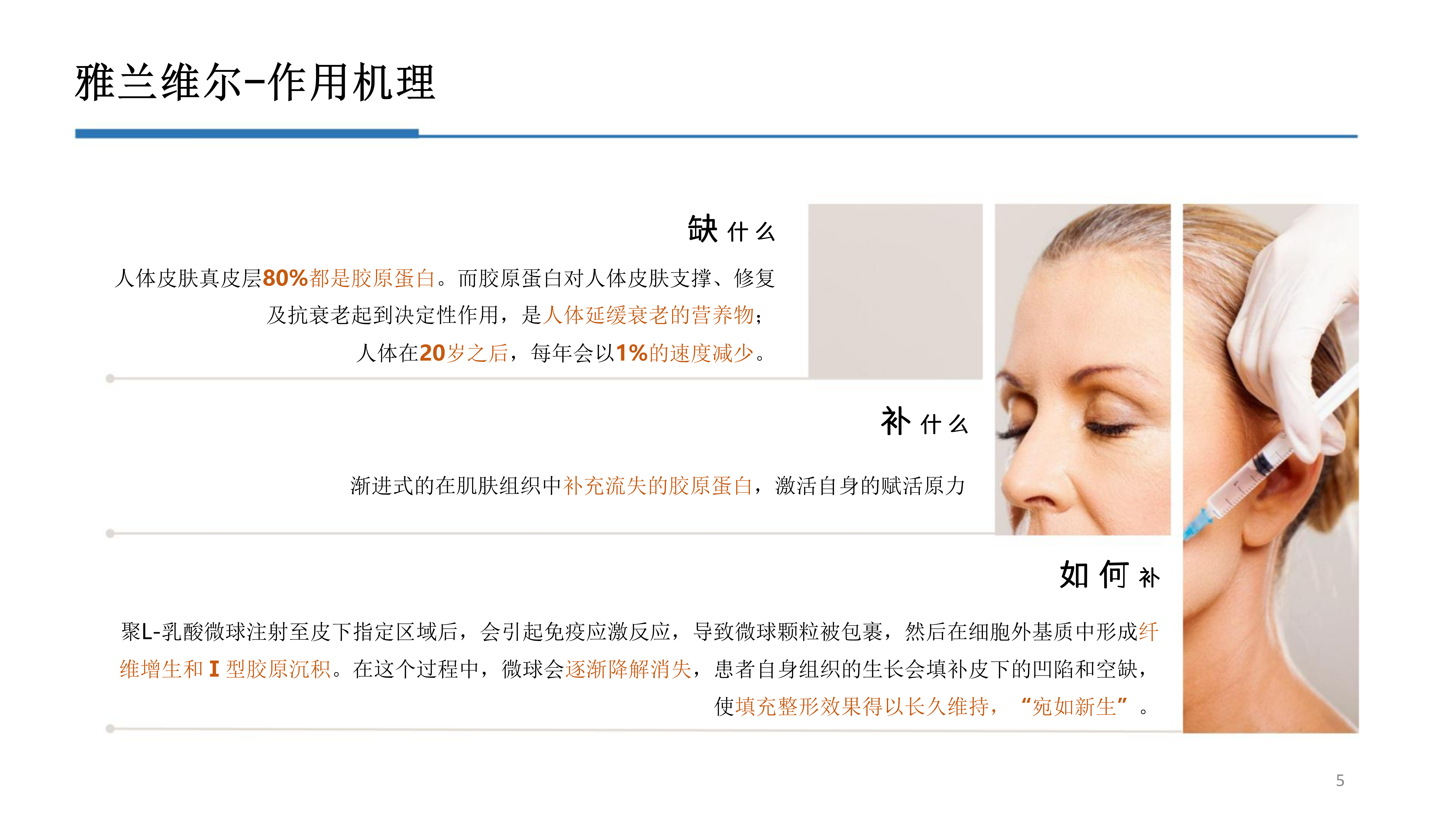 2-雅兰维尔_05.png