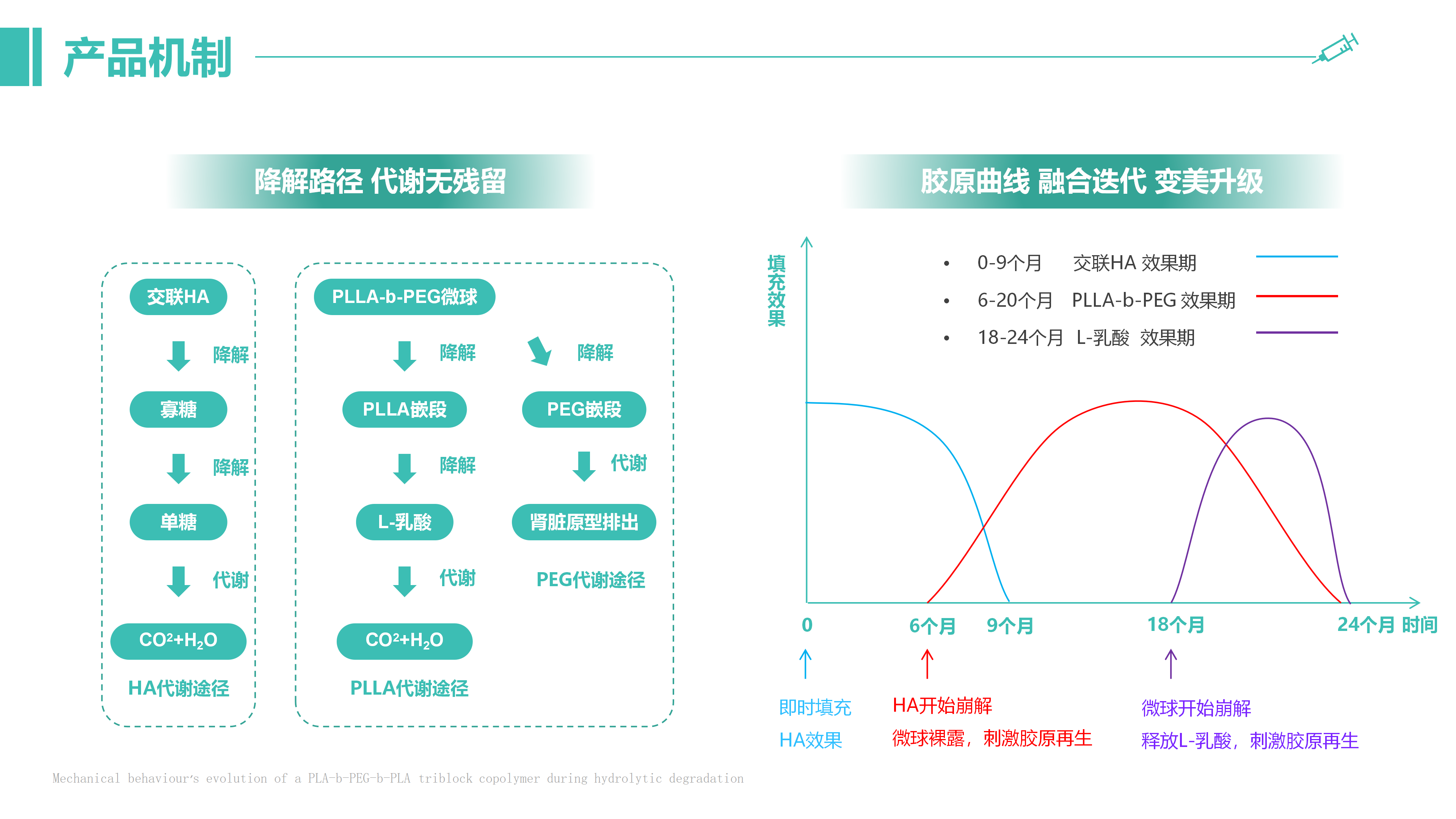 3-濡白少女-产品介绍_04.png