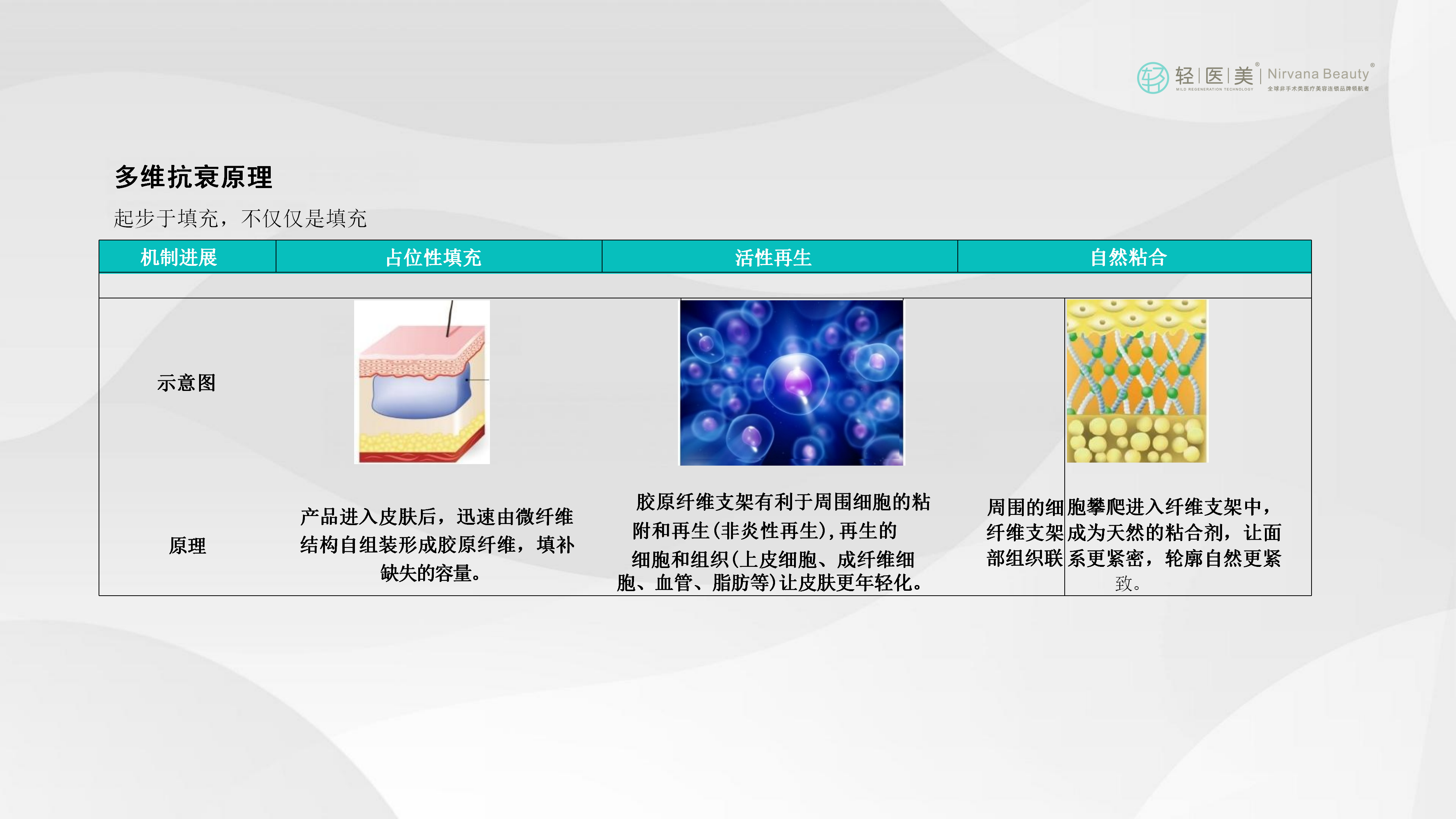 5-轻医美活性胶原系列产品_25.png