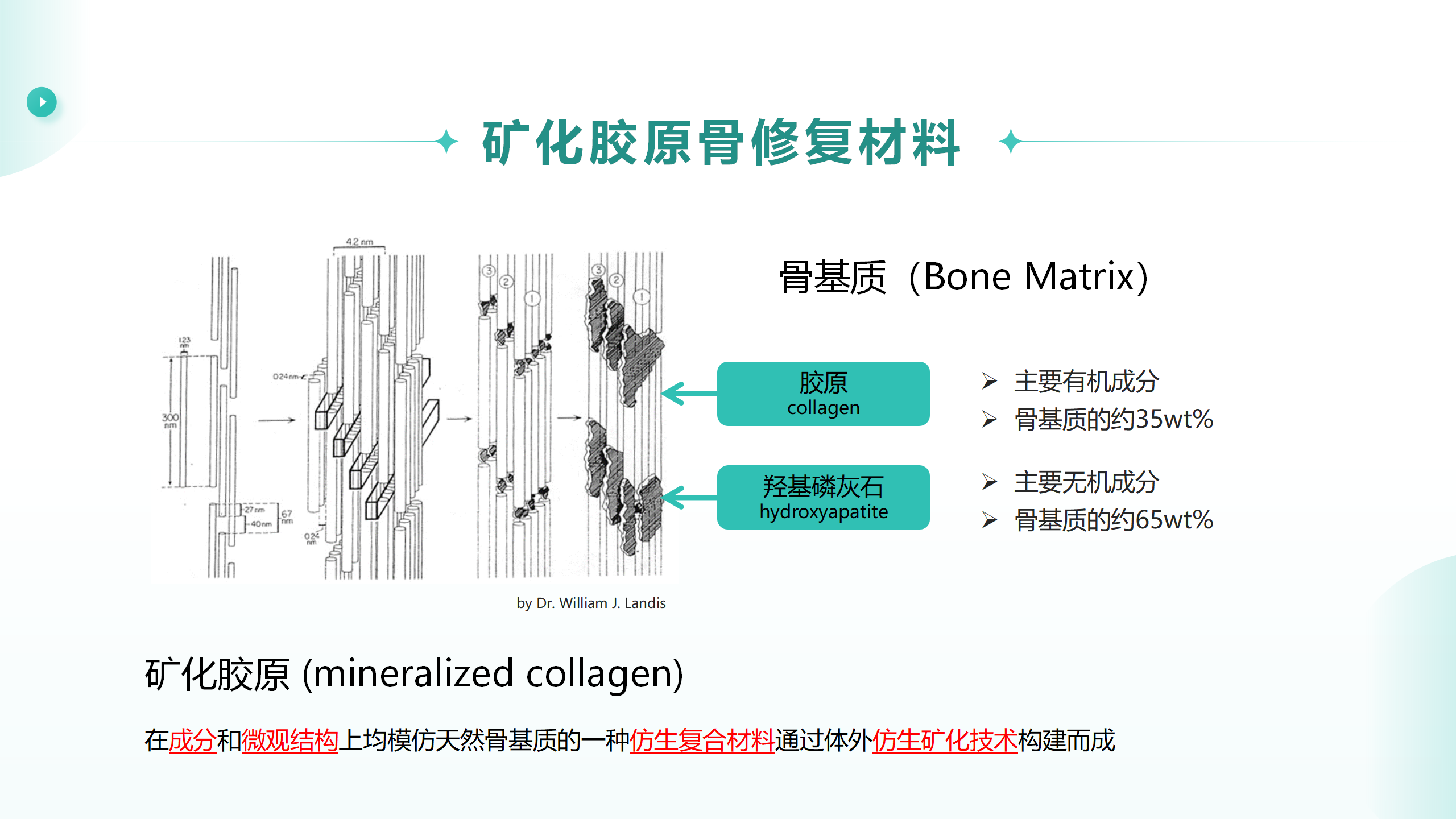 轻医美产品培训课件(1)—人工骨_06.png