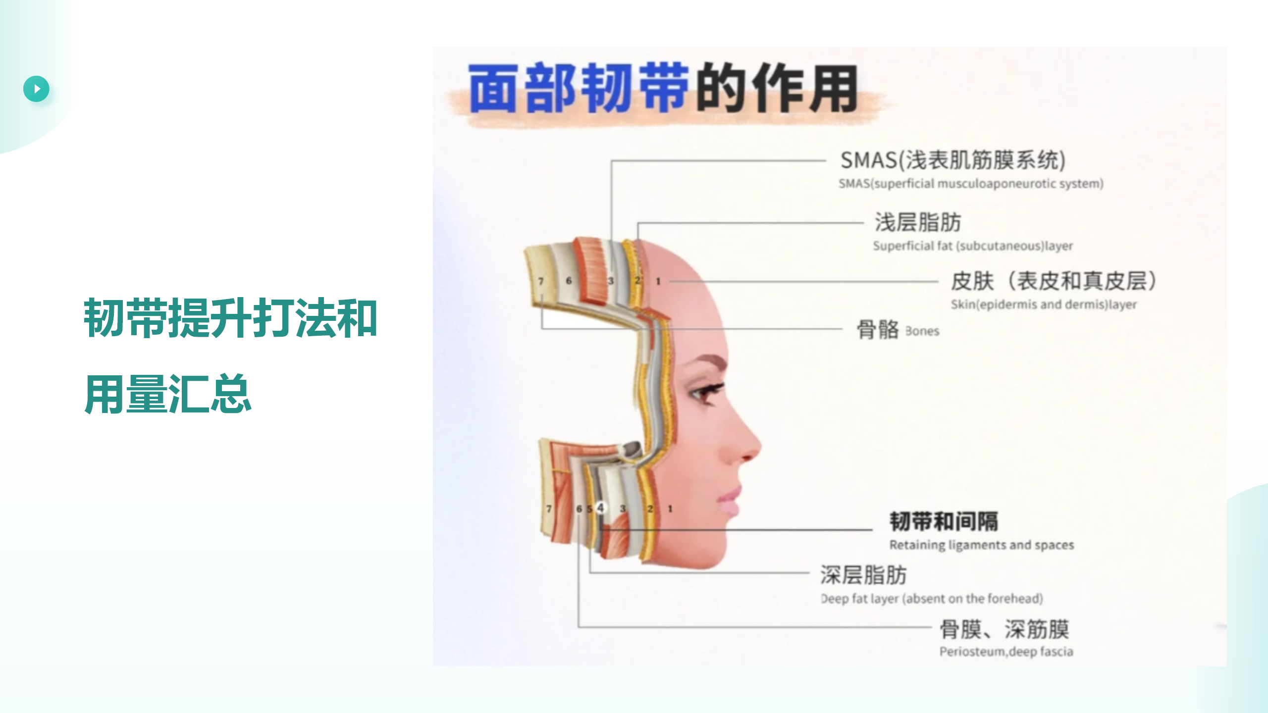 轻医美产品培训课件(1)—人工骨_10.png